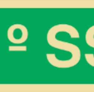 Placa Fotoluminescente – ORIENTAÇÃO E SALVAMENTO - S1731