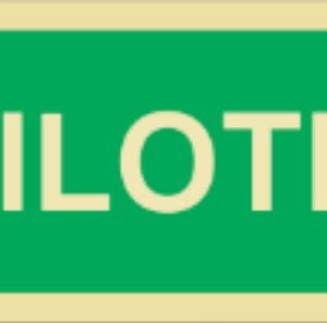 Placa Fotoluminescente – ORIENTAÇÃO E SALVAMENTO - S1742