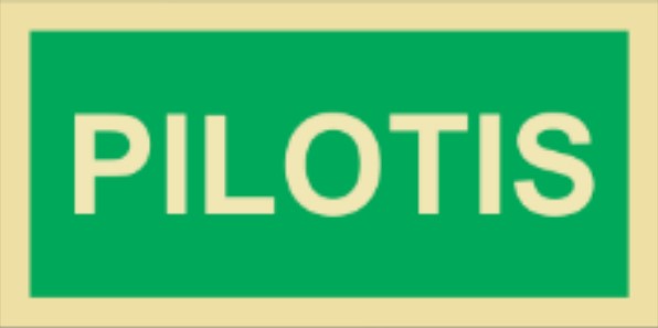 Placa Fotoluminescente – ORIENTAÇÃO E SALVAMENTO - S1742