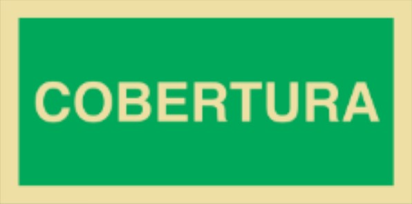Placa Fotoluminescente – ORIENTAÇÃO E SALVAMENTO - S1745