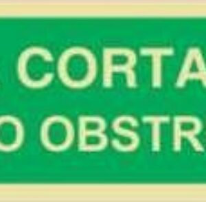 Placa Fotoluminescente – ORIENTAÇÃO E SALVAMENTO - S2100